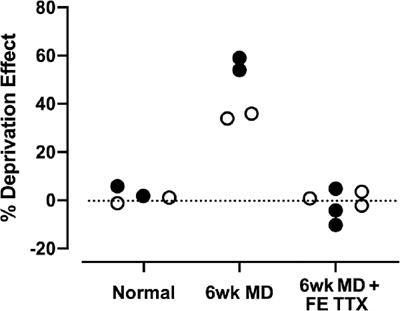 Retinal and Optic Nerve Integrity Following Monocular Inactivation for the Treatment of Amblyopia